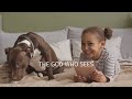The God Who Sees [Lyric Video] (Rachel Barrentine, Feat. Josh Wright)