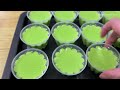 班兰椰奶燕菜布丁 | 班兰蛋香味超级好吃 | 马上做给家人吃吧 | Pandan Coconut Milk Agar-Agar Pudding