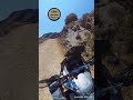 f850 gsa rallye & f900gsa off road action