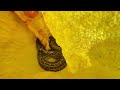 JCB | The Excavator Loading Trucks Scary With Big Snake During New Road Construction