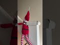 Elf on the Shelf has a Sleigh ride 😂 #holidayswithshorts