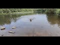 Beautiful Giant Dog has a cooling swim in the ressies in the burning heatwave  😎🌞🚣‍♀️🐶✔