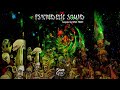 OxyFlux vs Muirakitan - Groove Machine (Psytrance)