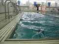 50 m freestyle low/medium pace