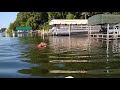 Livi loving the lake - Golden Retriever