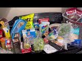 MINI GROCERY HAUL | THIS IS WHAT I SPENT $250 ON FOR THE NEXT 2 WEEKS 😬