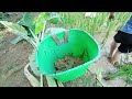 Go pick bamboo shoots.  Cooking. Building a kitchen with field soil. Nguyen Thi Huyen