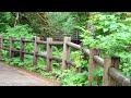 Path to the top of South Falls, Silver Falls Park Oregon