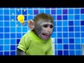 Monkey Nana challenges with Hide and Escape from Monster and plays with Ducklings | Monkey Nana