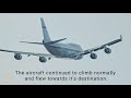 Boeing 747 Bird-Strike