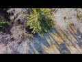 DJI Mini 2 cinematic test 4K