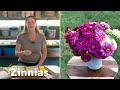 2023 Cut Flower Garden Goals 🌷🌹🌼 | What Cut Flowers To Grow | From Seed To Bouquet | Bouquet Garden