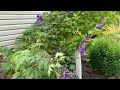 July Garden Tour!