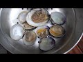 Clam Digging, ID & Taste Test: Butter Clams vs. Native Pacific Littleneck Clams vs. Manila Clams