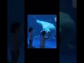 Whale Jumpscares Child 💀💀💀💀