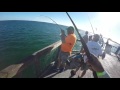 Navarre Pier Fishing 6/23/16 King/Spanish Mackerel