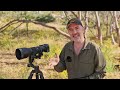 Sigma 150-600mm Contemporary Review for Bird and Wildlife Photography