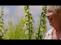 Summer Gardening with Carol Klein Eps 1