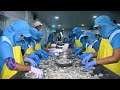 How American Fishermen Make Billions Of Dollars From Shrimp Fishing - Shrimp Processing Factory