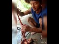 How to cut chicken (duck) to cook 🦆🦆🦆
