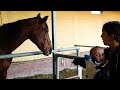 SHOCKING NEW RESCUE CASE | Tenerife Horse Rescue