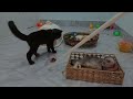 Funny ANIMALS videos😍Funniest CATS😻 and DOGS🐶 2024