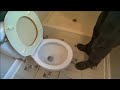 How to Drain a Toilet Today s Homeowner