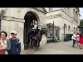 Tourist Parks Bike in Front of King's Guard Horse—Big Mistake!