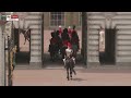 King Charles rides on horseback at Trooping the Colour