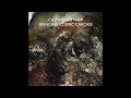 Castration Whip - Grinding Cosmic Carcass
