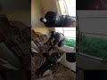 I got stuck in the window 🤣 #airsoft #viral #funny