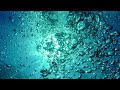 Submerged Serenity: Journey to the Underwater World