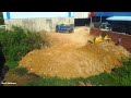 Completely Small Project !! KOMATSU Bulldozer D20P Pushing Landfill On Flooded Area & Truck 5T Teams