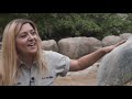 Becoming A ZOO KEEPER at San Diego Zoo!! 🦒