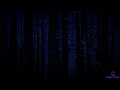 60+ Min Of Deep Woods Horror Stories | Rain & Haunting Ambience