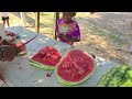 Juneteenth Parade and Celebration 2024 in Troy, AL