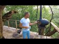 I Stay In A Treehouse Hotel! - I Wasn't expecting this!