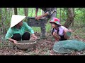 Pitiful Man Dyspnea Was Helped By 2 Benevolent Girl - Harvesting Quail Eggs To Sell