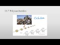 9. Reducing Sugars, Glycosidic Linkages, and Polysaccharides (CHEM 1407)