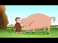 Curious George 🐵 George is a good friend 🐵 Kids Cartoon 🐵 Kids Movies 🐵 Videos for Kids