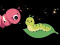 CATERPILLAR'S STORY - The Magic of Transformation - Baby Sensory