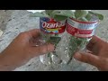 Drying and Propagating Sage From The Garden