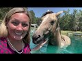 I Checked Off a Bucket List Item Today : Swimming With MY Horses