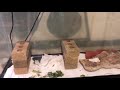 Replacing A Piece Of Glass On An Aquarium! | DIY Reptiles