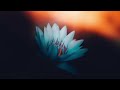 15 Minute Guided Meditation to Release Suppressed Emotions | Mindful Movement