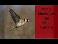 The OM-1 Focus Limiter Feature