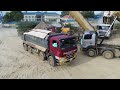 EP 6| Fantastic Project Filling Big Lake by Bulldozer SHANTUI Pushing Soil with many Dumps Truck 25T