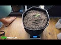 HOW TO GROW WEED: EASY COMPLETE GUIDE for Beginners - Indoor Cannabis - 2023 UPDATED