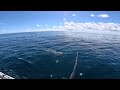 Fishing 60 miles out on a *24ft* Bay Boat for our LUNCH!....[Catch, Clean, Cook]