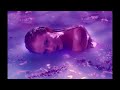 Taylor Swift - Lavender Haze (1 hour)